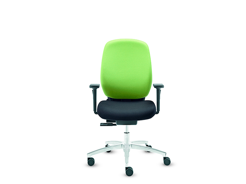 Dauphin_shape_05_strauss Dauphin_shape_05