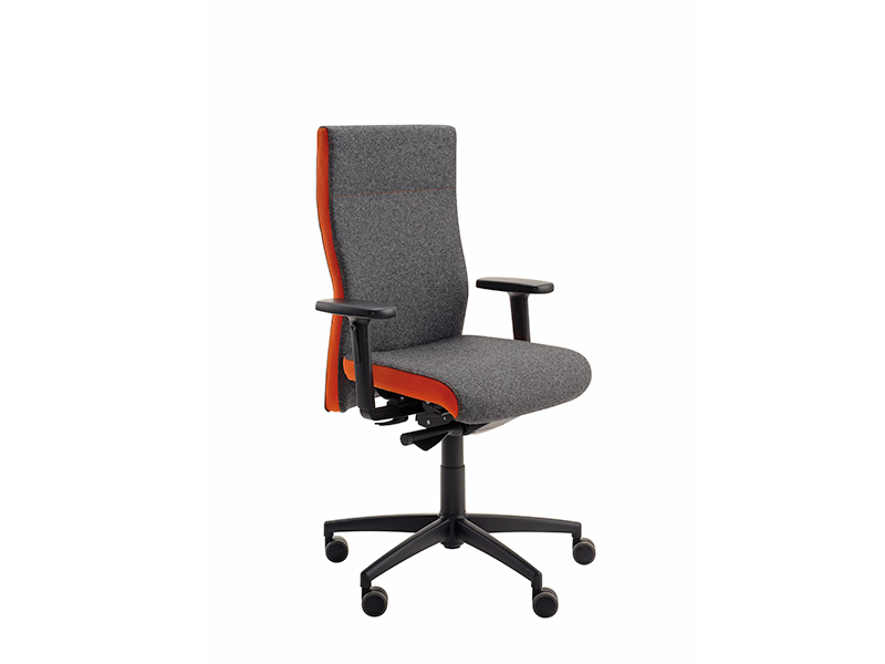 Hausstuhl_03_strauss Hausstuhl_03_strauss