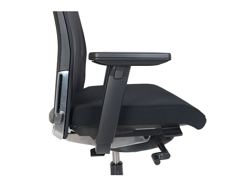 KN_OkayII_15_strauss KN_OkayII_15