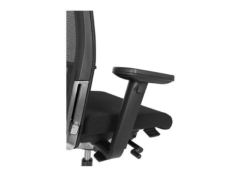 KN_OkayII_15_strauss KN_OkayII_15