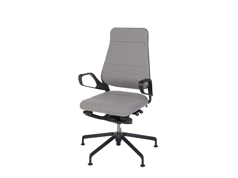 auray_konferenz_koenig_neurath_02 auray_konferenz_koenig_neurath_02